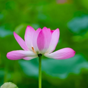 �W�ь��ģ����B�@�ĺɻ��cɏ��