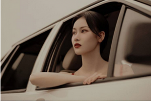 ��ꎔ�ɽ������zӰ ��ϲ�g�ķN�L(f��ng)��ģ�