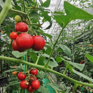 �m���r(n��ng)���@�_�_�۽� �ゃ?n��i)��^�᣿