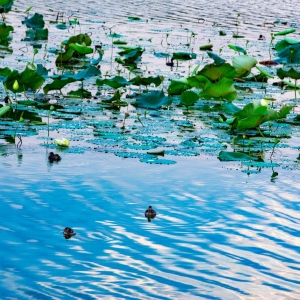 �L(f��ng)�����箋 �W(w��ng)���Дz��ɽ�����������c