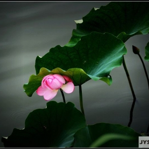 �W(w��ng)�������۽��zӰ �ě��ں�̎