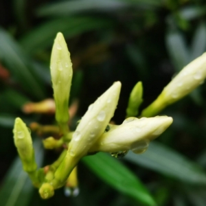 �W�ѷ���Ȧ�S�� ������Ȼ��ϴ�Y