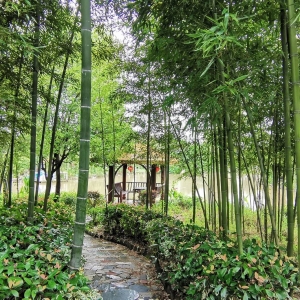 �W�ѷ������d�������� С���֌��o��Ȼ