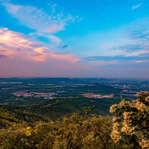 �W����Ʒ�����������ڶ�ɽɽ��h��