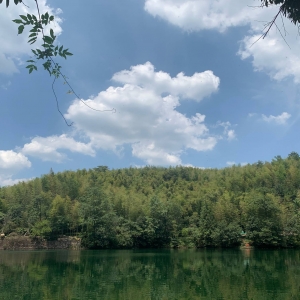 APP�W�ѷ���Ȧ���ģ����d��