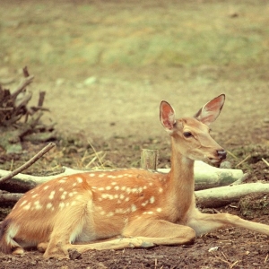 �W�џo�a����@�S�� ���e������