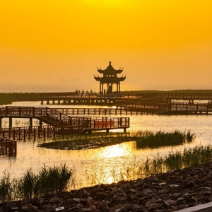 �zӰ��W(w��ng)�ь��ģ����Ҹ۞��ճ�