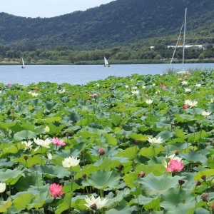 ��ɽ�������գ����o���C ������Ȼ