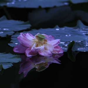 APP���x�DƬ���� һ�����һꇛ�