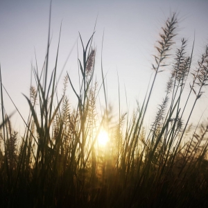 �������������� ���ďUÿһ��