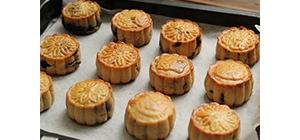 ���﹝(ji��)������������� �ó��ֽ���~