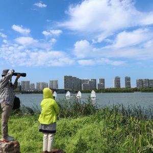 2020��Ĕ�ɽ������δ�h ������