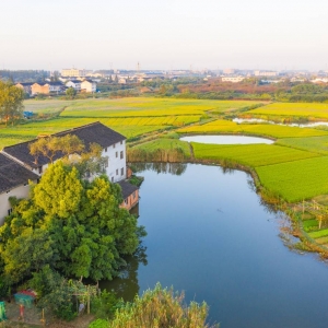 ��̎������ ����r��֮����������