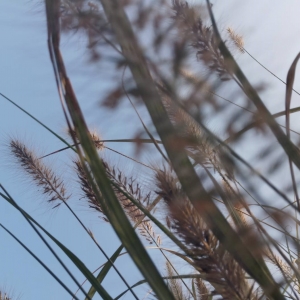 APP�W�����D���� �Q���Ƕ�ӛ䛴���Ȼ