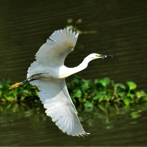 �zӰ��W���Ĕz��չ���w������B