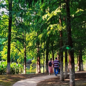 �W�ѷ�������ӛ�S�ģ��������ǹ��@