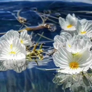 �W�ѷ������D���]���o��������