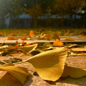 ���~��ض��ǡ������족���@����Ć᣿