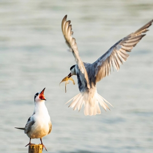 �zӰ��W(w��ng)�єz����횸��t ����(ji��)һ�����