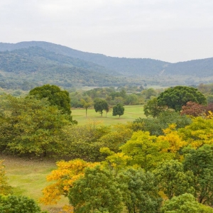 �W(w��ng)���Ĕz����ɽ���_ʼ�u����ɫ