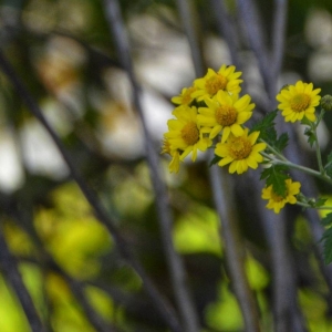 �W(w��ng)�є�ɽ���S�ģ�����u��΢�L��