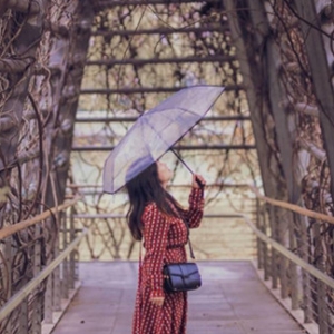 ����Ȧ�������D������ɐ� �f������