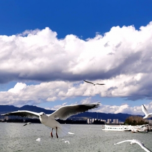 �W�ѷ������D������ĸһ��ȥ�o���tιʳ