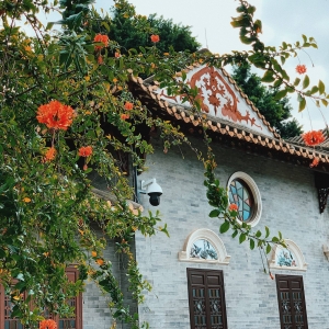 �W������ӛ䛲�һ�ӵĎX���L��