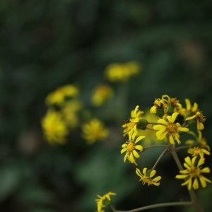 �W�ѷ���Ȧ�S�ģ��đ�ů� ������