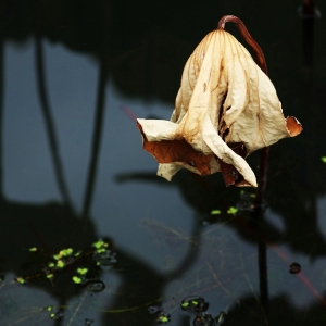 �W���Ĕz����ɽ�����՚���