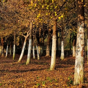 ����Ȧ�S�ģ���ɽ�����յĳ���