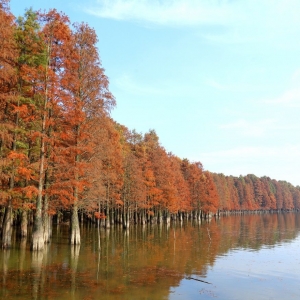 ������������ �Ĕz�Ͼ�ֹ�R�X��ɼ��