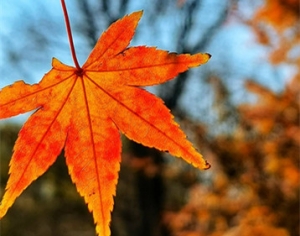 ����Ȧ�W���S�ģ�����ů��µĽ��