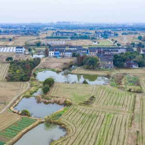 �W�Ѻ��ģ��������l����Ұ�ܺÿ�