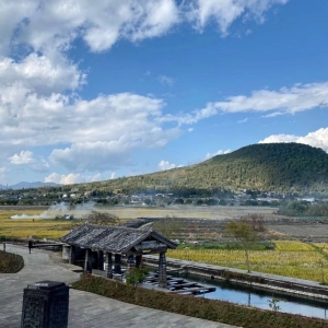 �Ĕz�����ϡ��v�_���ݜ�Ȫ �������¿՚�