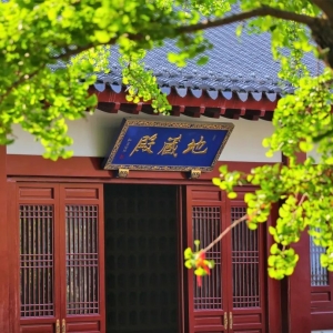 �W(w��ng)�ѷ����������`�[���c������A��