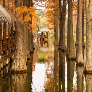 �zӰ��W(w��ng)�����]��ˮɼֱ���ƶ�