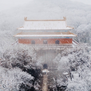 �W(w��ng)�����D���Ͼ��ĳ�ѩ ���������ɾ�