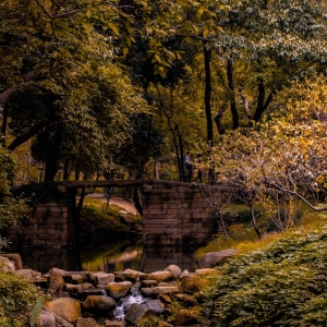 �W(w��ng)�ѷ��������f��Ƭ���K����ƽɽ