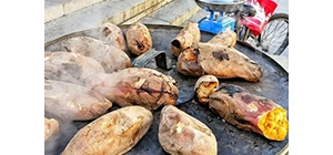 �����ﲻ���e�^�Ľ�ꎽ��^��ʳ ����һ�ڄe���ů��