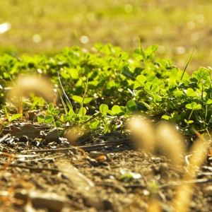 APP�W�ѷ���Ȧ�S�� ��ɽ���紺����