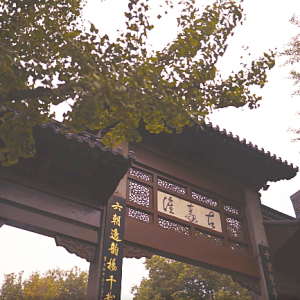 �Ͼ�һ����S�ģ����������^�c�ػ���