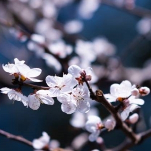 �W���S�ĳ��������������_�ô�������