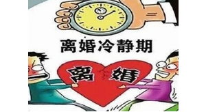 �x�����o���������x�����������o�˼ұ������e���@Щ�`�⮔��