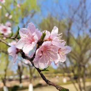 ����Ȧ�W���S�ģ���ʰߔ̵Ĵ���