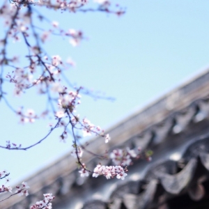 APP�W�����D������ϼ�͹ʾӴ�ɫ����