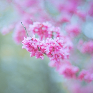 ����Ȧ�W���S�ģ������o�� �����L��