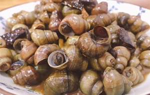 ����˲����e�^�Ĵ�����ʳ ÿ��ֻ���@���r����ܳԵ�