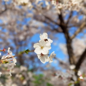 ����������ܽ�غ����@�p��