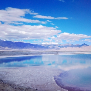 APP�W(w��ng)�������S�ģ������^���L(f��ng)��